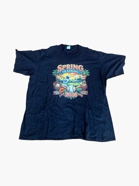 Graphic Tee MLB Baseball Spring Training Port & Company — Unisex 4XL